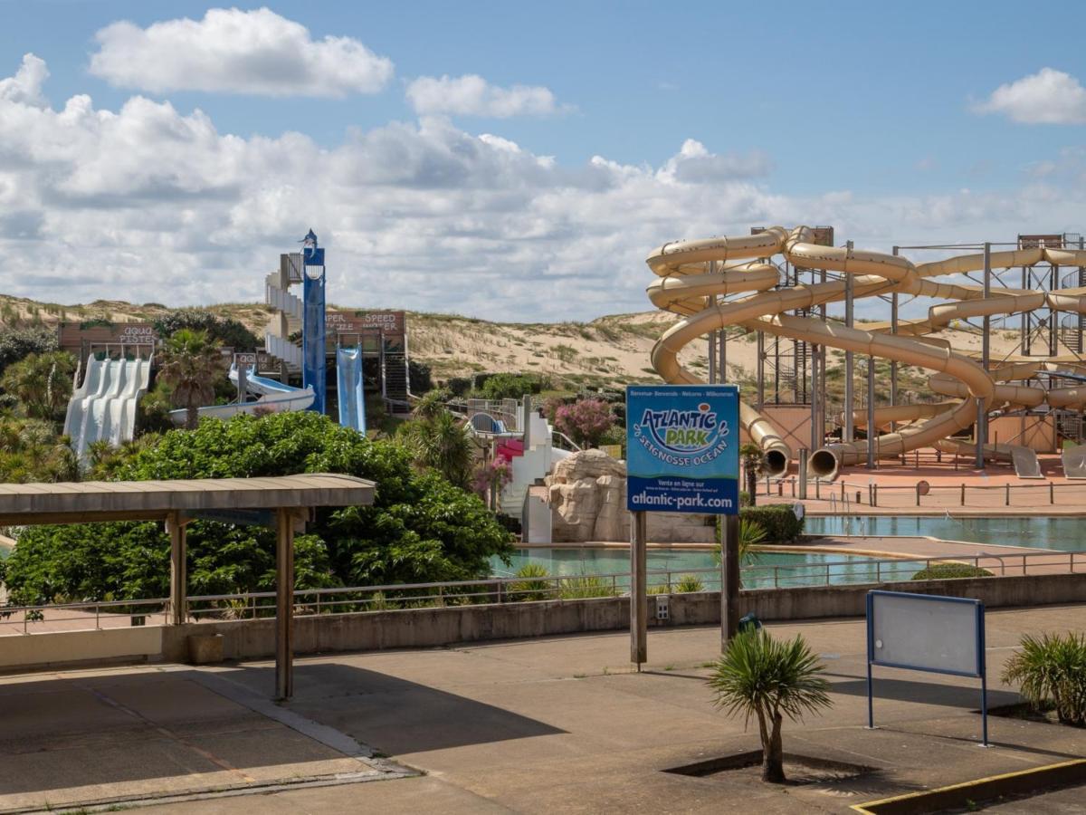 Studio Renove Face A La Dune, Proche Plage Et Commerces, Ideal Pour 2 Personnes - Fr-1-239-150 Seignosse ภายนอก รูปภาพ
